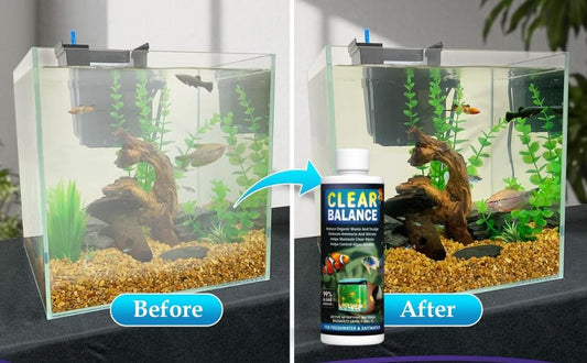 Automatic Fish Tank Cleaner ( Pack Of 2 )