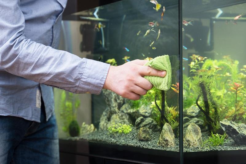 Automatic Fish Tank Cleaner ( Pack Of 2 )
